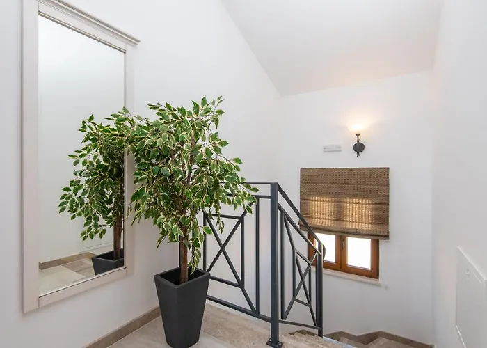 Aria * أوروبيتش