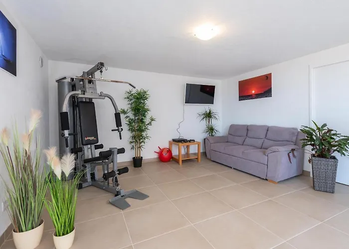 Aria فيلة أوروبيتش